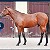 Horses doing nicely
