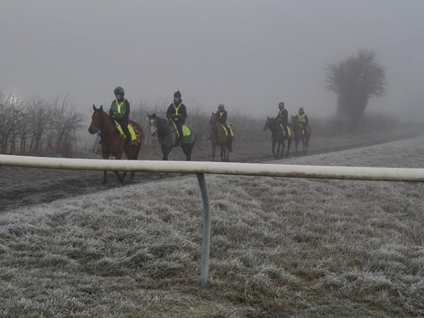 Happy New Year - Its been a cold start