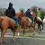 One Runner, Plenty of Positives