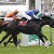 Day Three of Royal Ascot 2022 - Tips for Thursday