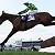 Cheltenham - Day 2 Tips