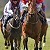 Beautiful Weather For A Lambourn Open Day
