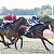 Another Nice Winner - Stan Very Happy