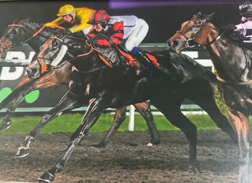 Doubling Up On The Winners Front