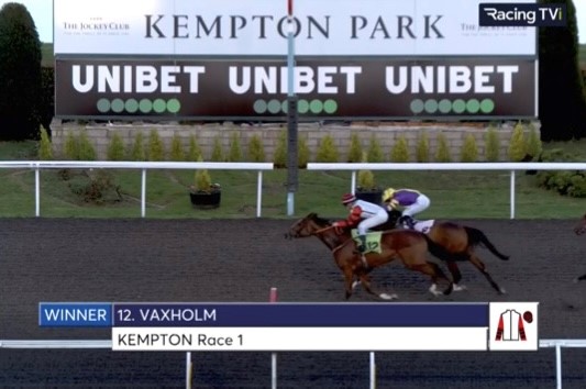 Another Winner Horses in Great Form!