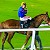 What A Tough Cookie - Mirabello Bay Beats A WALL OF HORSES FOR SUCCESS on Thursday evening